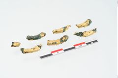 Foto von Bronzering (NHMW-PRAE-024113)